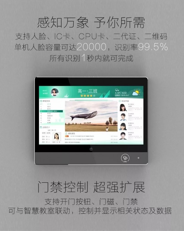 白姐全年正版王中王